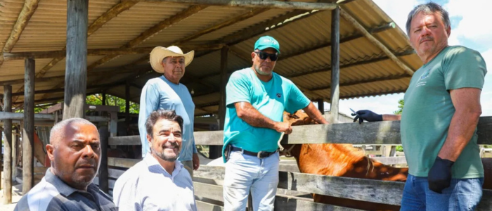 Quissamã oferece atendimento veterinário gratuito para bovinos e equinos, incluindo vacinação e acompanhamento clínico, fortalecendo a saúde animal e o setor agropecuário.