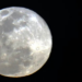 Lua Cheia de Perigeu ilumina o céu neste sábado e chama atenção de observadores