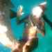 Turista é mordida por tubarão-limão durante mergulho em Fernando de Noronha. Caso não foi grave, mas reacende alerta sobre segurança e respeito à vida marinha.