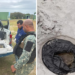 A Guarda Civil de Cabo Frio resgatou uma tartaruga marinha e uma lontra ferida. Animais receberam atendimento em instituições especializadas para recuperação.