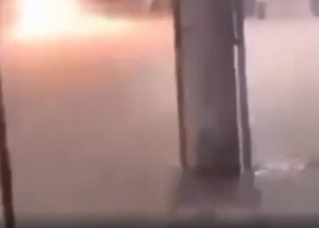 Moradores de Duque de Caxias registram jacaré na rua durante chuva