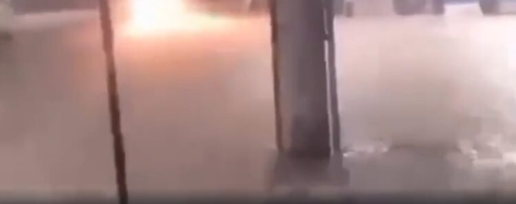Moradores de Duque de Caxias registram jacaré na rua durante chuva