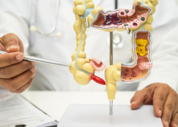 Modulação da microbiota intestinal por transplante fecal melhora eficácia da imunoterapia, indicam estudos.