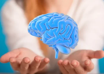 Estudos mostram como hábitos diários podem proteger o cérebro e a saúde.