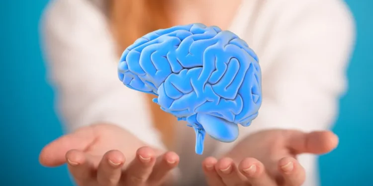 Estudos mostram como hábitos diários podem proteger o cérebro e a saúde.