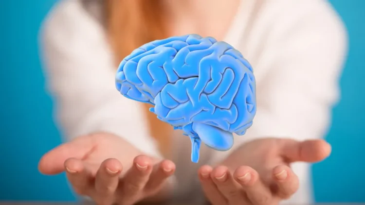 Estudos mostram como hábitos diários podem proteger o cérebro e a saúde.