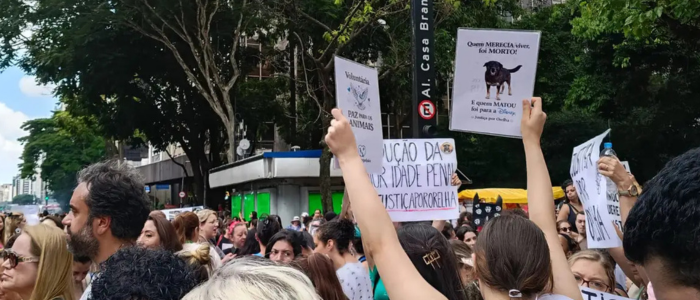 Caso Orelha mobiliza manifestação e reacende discussão sobre punições