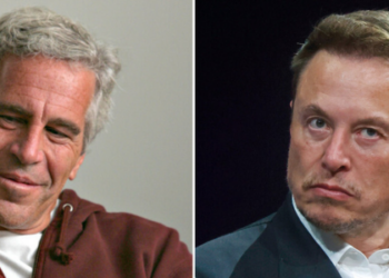Elon Musk fala sobre os arquivos divulgados do caso Jeffrey Epstein e afirma que a transparência é essencial para responsabilizar envolvidos em crimes sexuais contra menores.