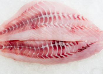 O período da Quaresma aumenta a demanda por pescado em bares, restaurantes e feiras no Brasil, com destaque para salmão, bacalhau e espécies regionais como tambaqui.
