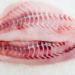 O período da Quaresma aumenta a demanda por pescado em bares, restaurantes e feiras no Brasil, com destaque para salmão, bacalhau e espécies regionais como tambaqui.