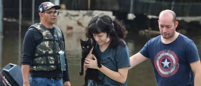 O Senado aprovou o PL 2950/2019, que estabelece protocolos para proteção de animais domésticos e silvestres em emergências, desastres e acidentes, fortalecendo a integração entre políticas de defesa civil e meio ambiente.
