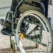 Nova esperança contra a tetraplegia: polilaminina avança para testes clínicos no Brasil