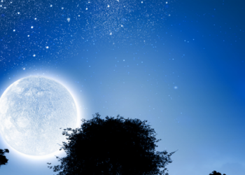 Entenda o ciclo lunar e as fases da Lua observadas no céu