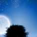 Entenda o ciclo lunar e as fases da Lua observadas no céu