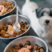 Durante o Carnaval, serviços de hospedagem, creche e pet sitter garantem cuidado seguro e bem-estar de cães e gatos, com aumento de 60% na demanda por soluções confiáveis para tutores.