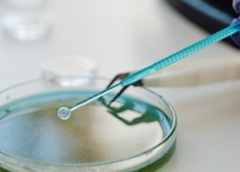 Microrganismo antigo pode gerar novos medicamentos no futuro.