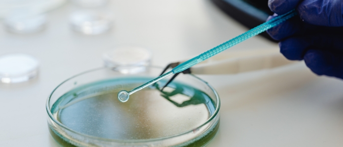 Microrganismo antigo pode gerar novos medicamentos no futuro.