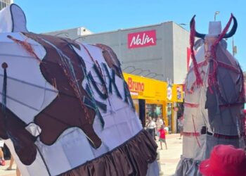 Cortejo dos Bois Pintadinhos movimenta o Centro de Macaé e reforça tradição histórica do Carnaval.