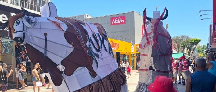 Cortejo dos Bois Pintadinhos movimenta o Centro de Macaé e reforça tradição histórica do Carnaval.