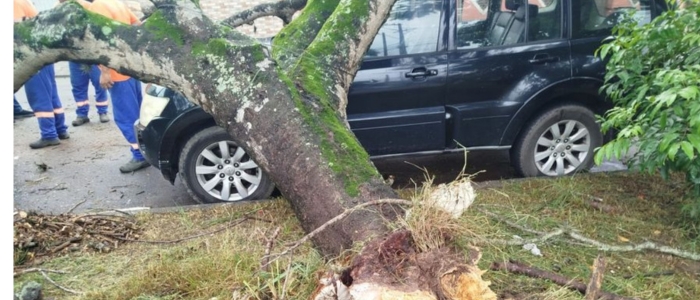 Defesa Civil continua atuando em Rio das Ostras após fortes rajadas de vento atingirem a cidade e provocarem quedas de árvores em diversos bairros.