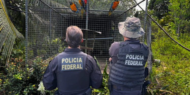 Polícia Federal realiza Operação Extinção Zero contra organização criminosa que traficava animais silvestres ameaçados de extinção para o exterior.