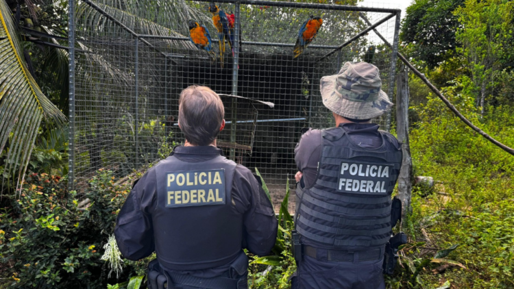 Polícia Federal realiza Operação Extinção Zero contra organização criminosa que traficava animais silvestres ameaçados de extinção para o exterior.