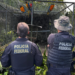 Polícia Federal realiza Operação Extinção Zero contra organização criminosa que traficava animais silvestres ameaçados de extinção para o exterior.