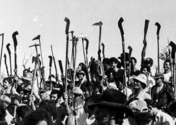 Trabalhadores rurais e camponeses organizados em mobilizações e atividades no campo durante o século XX, período marcado por lutas por direitos trabalhistas e reforma agrária.