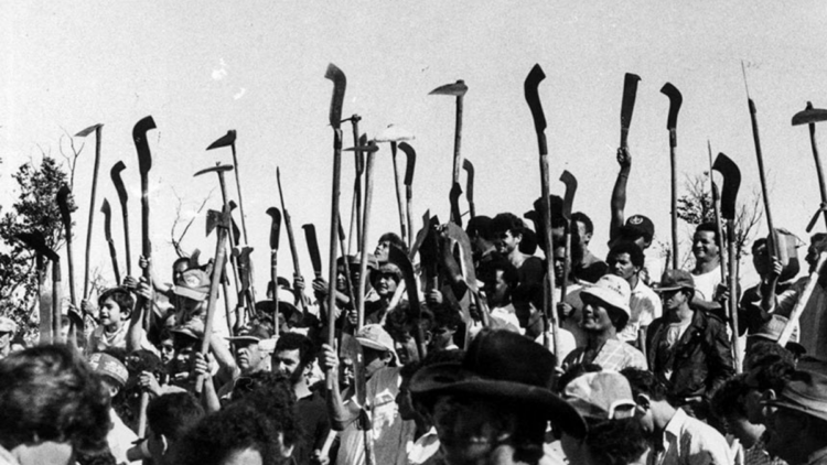 Trabalhadores rurais e camponeses organizados em mobilizações e atividades no campo durante o século XX, período marcado por lutas por direitos trabalhistas e reforma agrária.