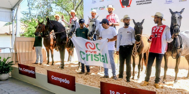 Exposição reúne criadores de todo o Brasil e destaca a qualidade genética do Mangalarga Marchador