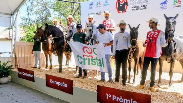 Exposição reúne criadores de todo o Brasil e destaca a qualidade genética do Mangalarga Marchador