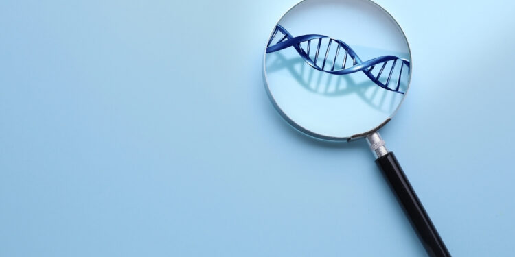 Estudo analisa genes associados ao autismo em diferentes populações.