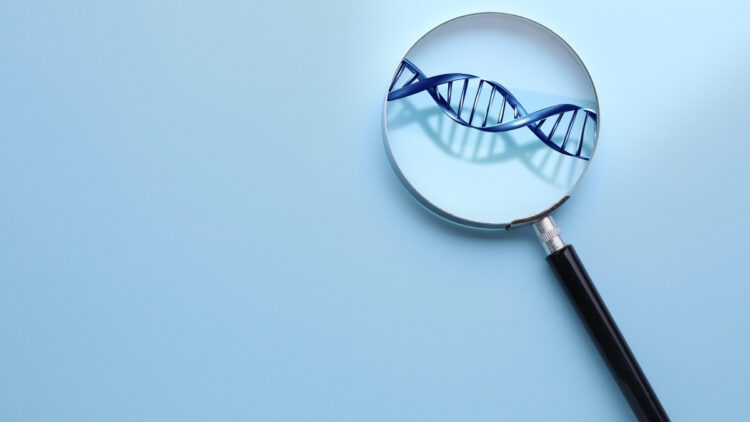 Estudo analisa genes associados ao autismo em diferentes populações.