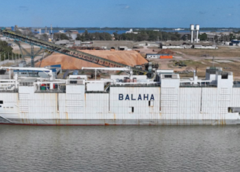 Crise no Oriente Médio paralisa rotas marítimas e deixa navios com animais vivos retidos
