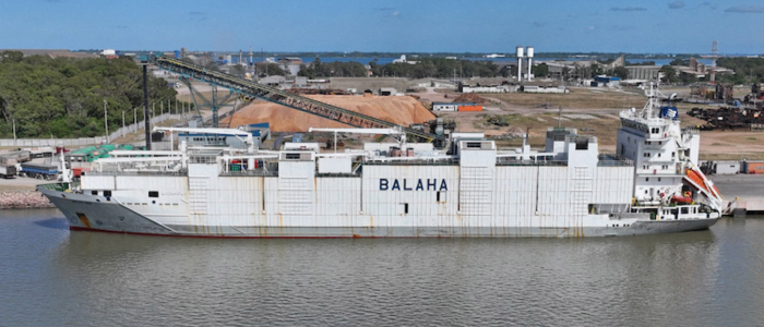 Crise no Oriente Médio paralisa rotas marítimas e deixa navios com animais vivos retidos