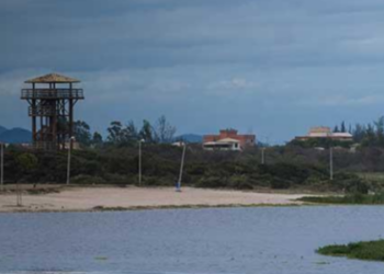 Ministério Público do Rio acompanha ações para preservar e recuperar a Lagoa de Iriry após denúncias de poluição no local.