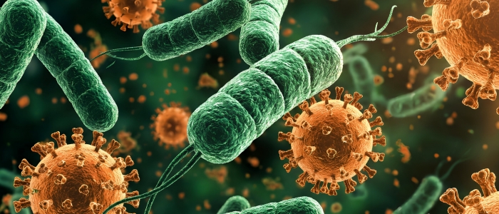 Cientistas identificam bactérias capazes de transformar gordura armazenada em gordura ativa.