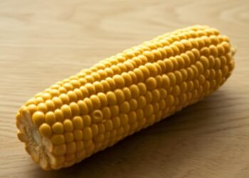 Cientistas descobrem proteínas que treinam o sistema imune a aceitar alimentos.