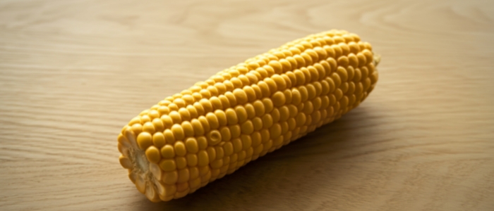 Cientistas descobrem proteínas que treinam o sistema imune a aceitar alimentos.