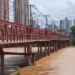 Nova linha de ônibus passa a operar em Campos dos Goytacazes para facilitar travessia entre Guarus e o Centro após interdição da ponte de ferro.