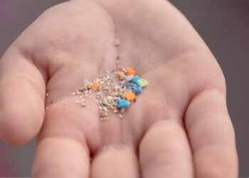Pesquisa detecta microplásticos em tecido de próstata humana e abre debate sobre impactos na saúde.