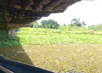 Ponte ameaçando desabar e poluição no rio geram crise na Baixada Campista, em Campos dos Goytacazes.