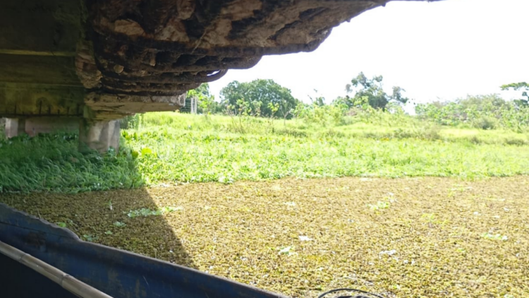 Ponte ameaçando desabar e poluição no rio geram crise na Baixada Campista, em Campos dos Goytacazes.
