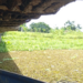 Ponte ameaçando desabar e poluição no rio geram crise na Baixada Campista, em Campos dos Goytacazes.