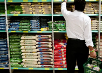 Cesta básica consome até 48% da renda e exige quase 100 horas de trabalho.