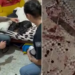 Resgate de cadelas em situação extrema reacende debate sobre estrutura da causa animal em São Pedro da Aldeia.