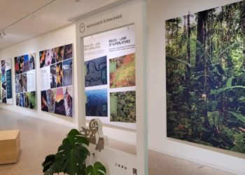 Exposição na Alemanha promove a biodiversidade brasileira, reúne obras artísticas e científicas sobre parques nacionais e incentiva cooperação em conservação e sustentabilidade