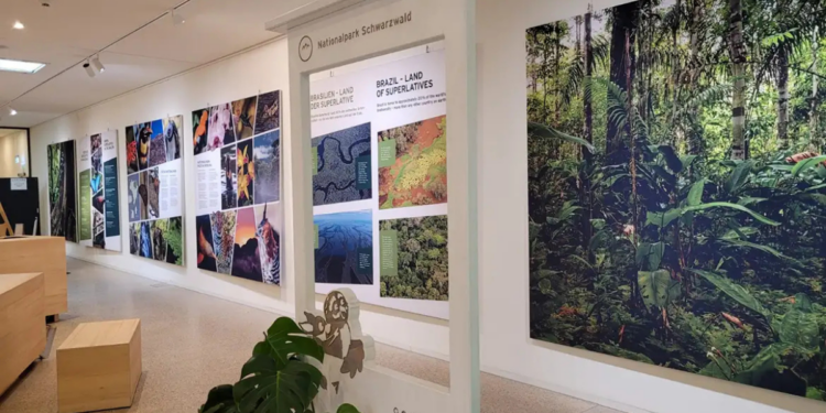 Exposição na Alemanha promove a biodiversidade brasileira, reúne obras artísticas e científicas sobre parques nacionais e incentiva cooperação em conservação e sustentabilidade