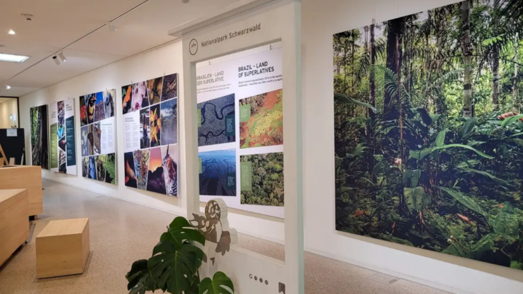Exposição na Alemanha promove a biodiversidade brasileira, reúne obras artísticas e científicas sobre parques nacionais e incentiva cooperação em conservação e sustentabilidade
