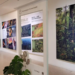 Exposição na Alemanha promove a biodiversidade brasileira, reúne obras artísticas e científicas sobre parques nacionais e incentiva cooperação em conservação e sustentabilidade